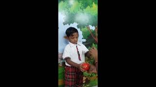 Hanvik  Brain Game Activity  Rise International School Kakinada [upl. by Eaver690]