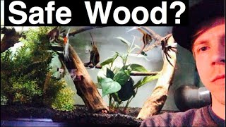 Safe Woods for Aquariums  Branches Ideas Setup [upl. by Kristo]