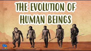 THE EVOLUTION OF HUMAN BEINGS  Human Evolution  Educational Videos for Kids [upl. by Yacano]