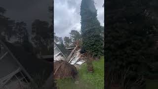 Sturm Ylenia  Baum fällt auf Haus in Wildau [upl. by Vincenz]