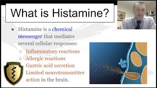 Histamine and its Actions  Quick Review [upl. by Ennaj]