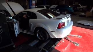 2001 V6 Mustang Dyno [upl. by Ynnub]