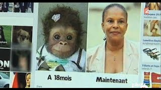 FN  Elle compare Taubira à un singe [upl. by Albarran]