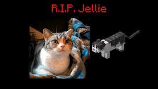 Rest In Peace Minecrafts Legendary Cat [upl. by Castorina]