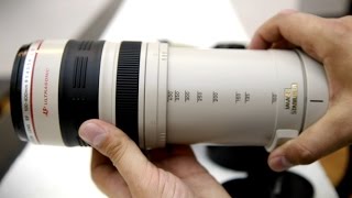 Canon 100400mm f4556 IS USM L lens review with samples APSC and fullframe [upl. by Wane801]