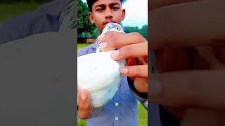 hand tame pigeon training🕊️ pigeon hand training kaise de pigeon kabutar trending shorts [upl. by Sukhum]