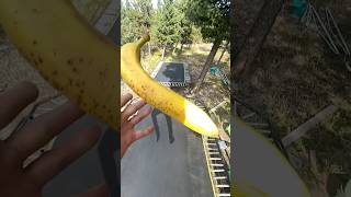 MOON BANANA fitness nature colorado trampolineparkourhealth diy climbing hiking [upl. by Lenna]