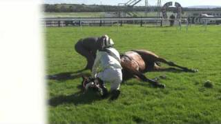 Racing horse death by accident in Galway [upl. by Eiramaliehs]