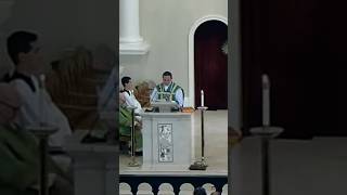 Is There Any Point homily catholicmass foryou [upl. by Thissa]