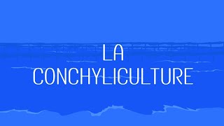 La conchyliculture  Terrattitude [upl. by Nicolas]