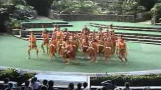 Maori Action song  Te Hokioi [upl. by Tarra]