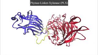 Chimeric xylanasephytase for improved thermal tolerance of feed enzymes [upl. by Davy]