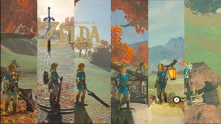 quotNEWquot NPC Weapons in Breath of the Wild BOTW MODS [upl. by Lumbye769]