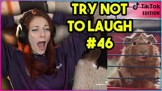 TRY NOT TO LAUGH CHALLENGE 46 TikTokTwitter Edition  Kruz Reacts [upl. by Airamak]