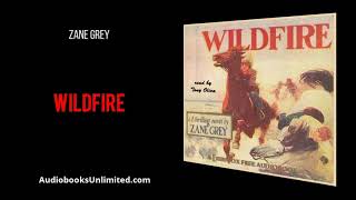 Wildfire Audiobook [upl. by Eimam]