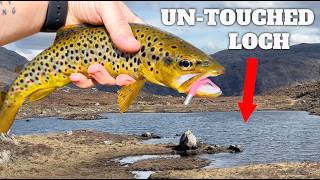 Catching Wild Trout in Remote Scottish Hill Lochs [upl. by Rammus]