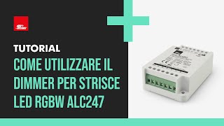 Come associare e utilizzare il dimmer per strisce LED RGBW ALC247  Procedura di reset a fine video [upl. by Harihs734]