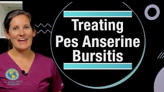 Pes Anserine Bursitis Diagnosis and Treatment Prolotherapist Danielle Matias PAC [upl. by Nayt]