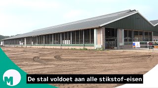 Toekomstbestendige koeienstal in Keldonk I Omroep Meierij [upl. by Lunt]