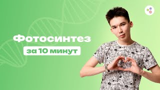 Фотосинтез за 10 минут  Биология  ЕГЭ2024 [upl. by Velick]