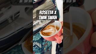 How to make rosetta and twin swan Part 65 rosettalatteart shorts swanlatteart baristalife [upl. by Gunter217]