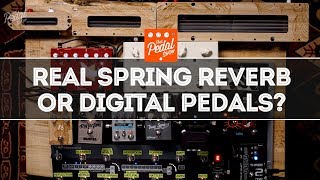 Wonderful Spring Reverb Genuine Spring Units Compared With Digital Pedals – That Pedal Show [upl. by Hutchins130]