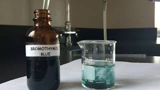 ღღ Bromothymol Blue Respiratory Physiology Experiment ღღ [upl. by Garret]