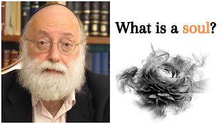 The Kabbalistic definition of SOUL will BLOW your mind [upl. by Mortie]