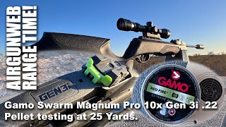 Gamo Swarm Magnum Pro 10x Gen 3i 22 Pellet Testing at 25 yards Can I shoot a decent Group [upl. by Atok159]