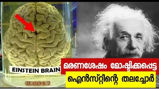 ആൽബർട്ട് ഐൻസ്റ്റീൻ ന്റെ തലച്ചോർ മരണ ശേഷം മോഷണം പോയി Albert Einsteins Brain stolen after his death [upl. by Ahaelam]