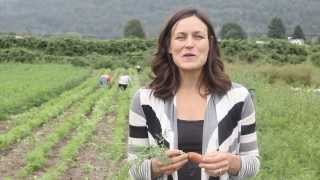 Biodynamic Farming at Forstbauer Family Natural Food Farm [upl. by Hoffer]