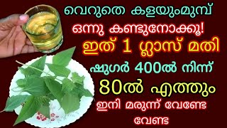 അറിയാതെ പോവല്ലേ ഇനി മരുന്നു കഴിക്കേണ്ട വെറും രണ്ടില മതി ഷുഗർ പ്രഷർ കൊളസ്ട്രോൾ ഇനി അടുക്കില്ല Uses [upl. by Pena]