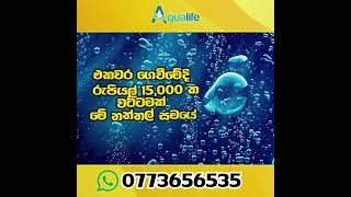 Aqualife RO Alkaline Water Filter  පිරිසිදු දිය බිදක් සුවපත් දිවියක් [upl. by Ahsinrev]