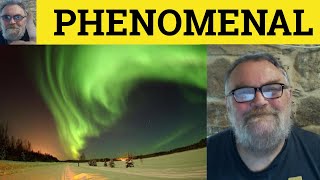 🔵 Phenomenon Meaning  Phenomenal Examples  Phenomenally Defined  Phenomena Explained [upl. by Nawk]