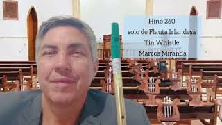 Hino 260 Orquestra e solo de Flauta Irlandesa Tin Whistle Marcos Miranda [upl. by Janice]