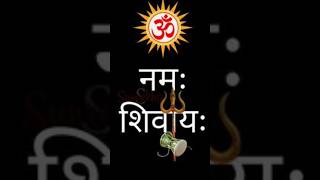 Om namah shivah 🍁🥀shorts viralvideo trending [upl. by Wilkey]