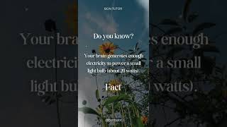 Fact about your brain facts brain doyouknow [upl. by Cattima]