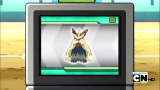 Stoutland Pokédex Entrywmv [upl. by Icul]