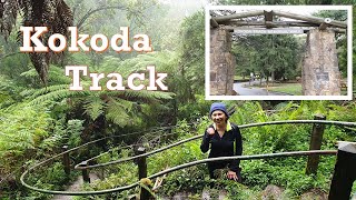 Kokoda Track Memorial Walk  Dandenong Ranges  Victoria Australia  Popular bushwalk [upl. by Carolle]