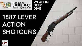 Lever Action Shotgun the Century Arms PW87 [upl. by Ames]