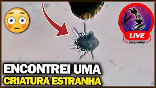 Encontrei uma estranha criatura microscópica  Cortes da Live Microscopia e Ciência [upl. by Nightingale]