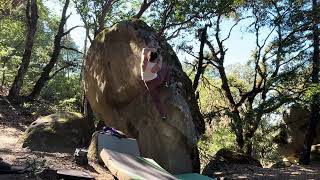 Gym Rat V4  Castle Rock Bouldering [upl. by Uba]