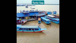 Why Tonle Sap Lake Cambodia Is Famous youtube ytshorts youtubeshorts [upl. by Aretina]