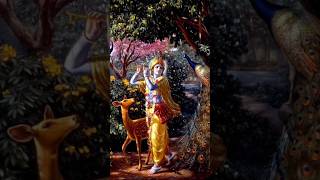 Happy Sri Krishna Janmashtami ♥️ krishna happyjanmashtami radhakrishna [upl. by Gnak834]