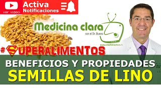 Semillas del lino PROPIEDADES y beneficios Cómo tomarlas correctamente  Medicina Clara [upl. by Anohsal]