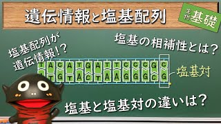 遺伝情報と塩基配列【50生物基礎】新課程対応 [upl. by Ttelracs]