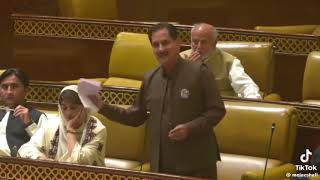 In the Punjab Assembly MPA Pakistan TehreekeInsaf Chaudhry Muhammad Ijaz Shafi raisedhisvoiceforthef [upl. by Irvin406]