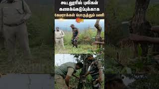 Cameras installed to monitor tiger movement in Gudalur  Sun News [upl. by Asha]