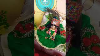 Tulsi ki mala ki Mahima 🦚🌺🙏😍annupundir8412shreekrishna viralvideo thakurji trendingshort [upl. by Aihsekal]