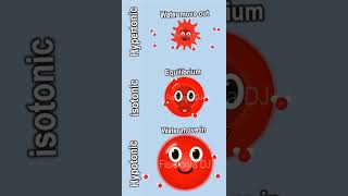 Isotonic hypotonic and hypertonic solutions  Isotonic hypotonic hypertonic solutions made easy [upl. by Andrade]